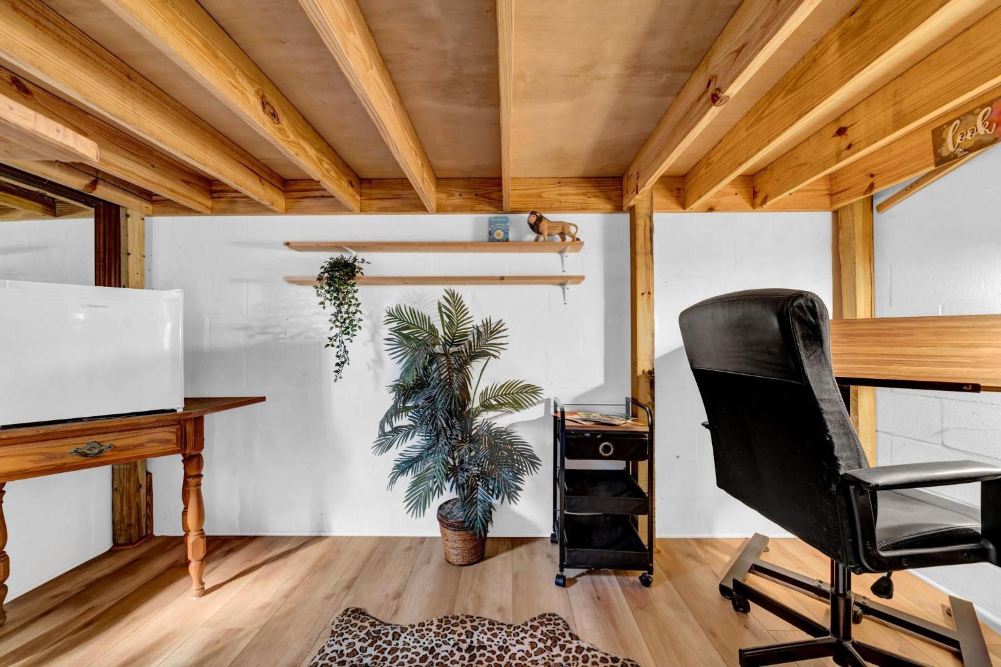 Zen Jungle House By Busch Gardens Sleeps 12 With Outdoor Games & Detached Play Space! Тампа Екстериор снимка